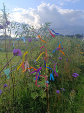 Load image into Gallery viewer, Sacred Celebrant Training, October 17th-23rd 2026 in Devon (Deposit)