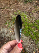 Load image into Gallery viewer, Walking With The Earth 13th October