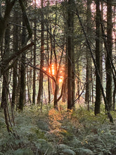 Load image into Gallery viewer, Walking With The Earth 13th October