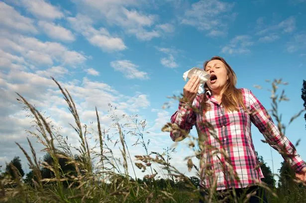 Hayfever Support